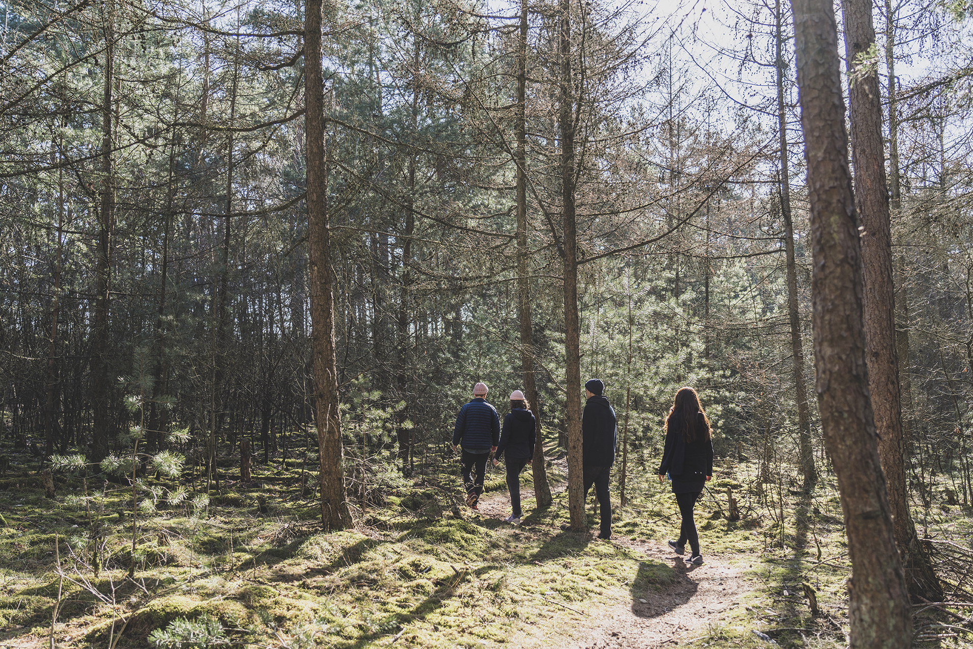 Das Team der CAIA academy macht eine Gehmeditation im Wald des Lebensgartens Steyerberg im Winter.